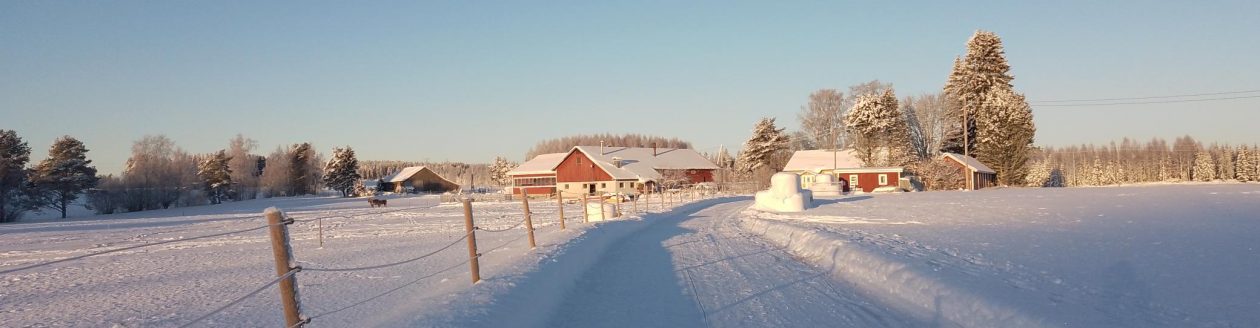 Niemelän lammastila 050-324 2379